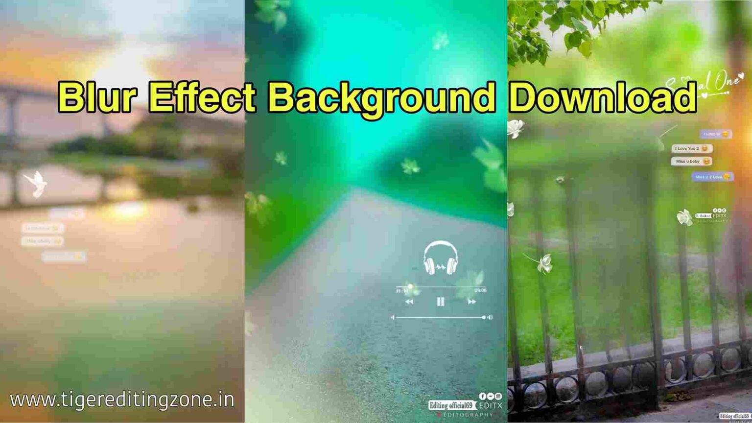 Best DSLR Blur Effect Backgrounds for Editing