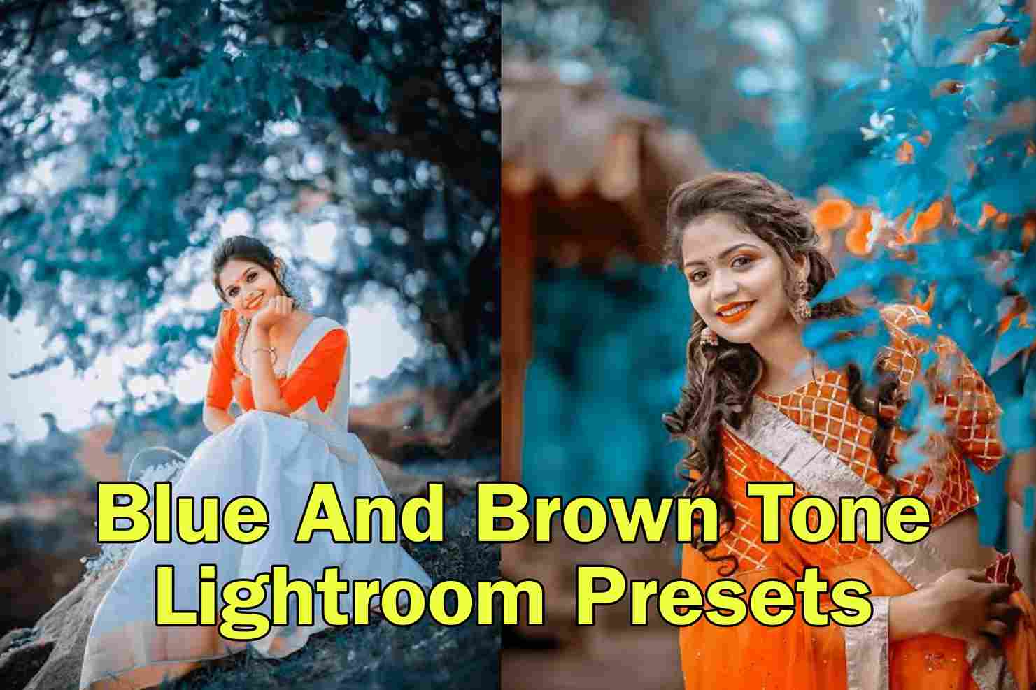 Blue And Brown Tone Lightroom Presets Free Download
