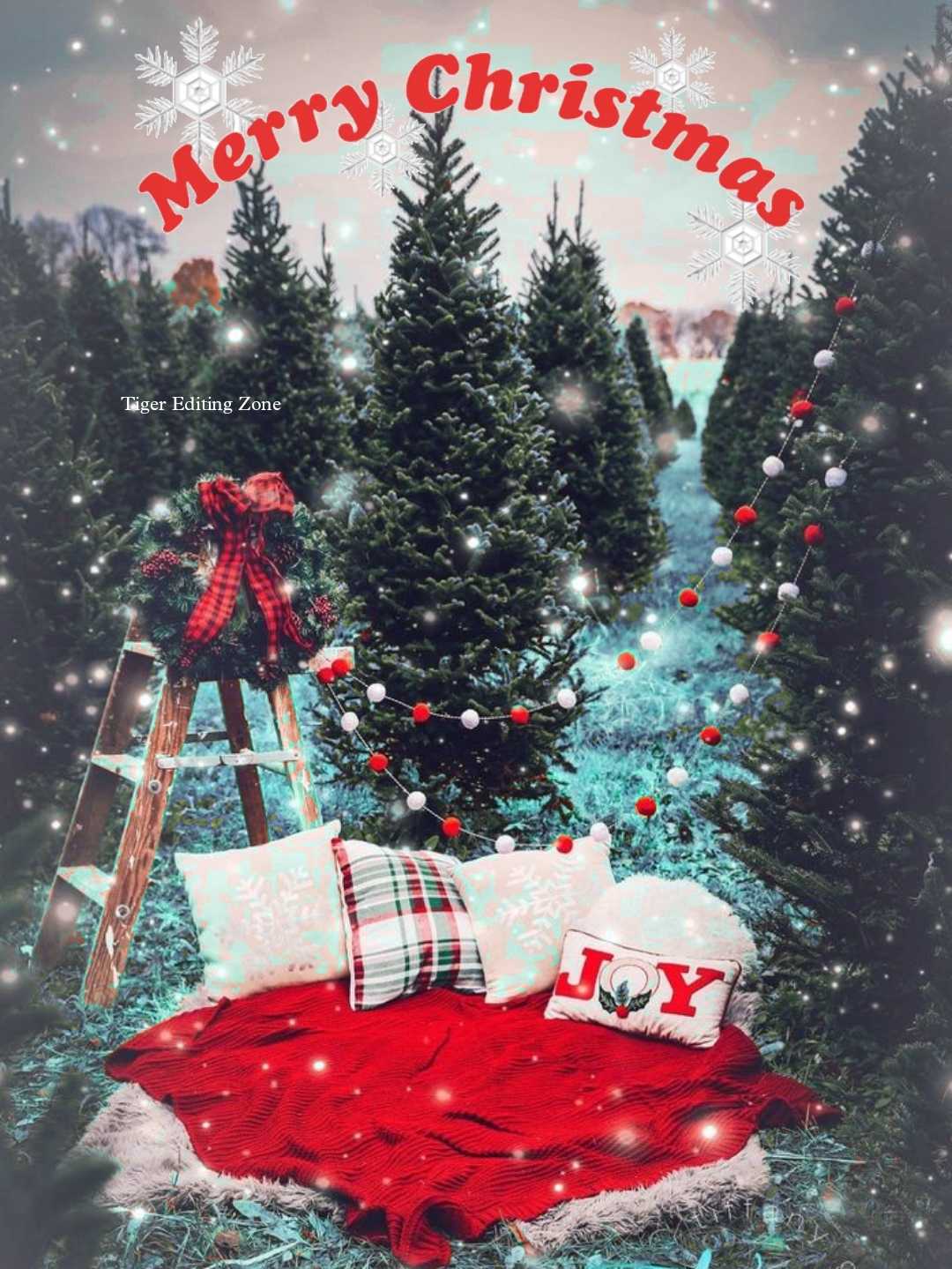 Beautiful Christmas background