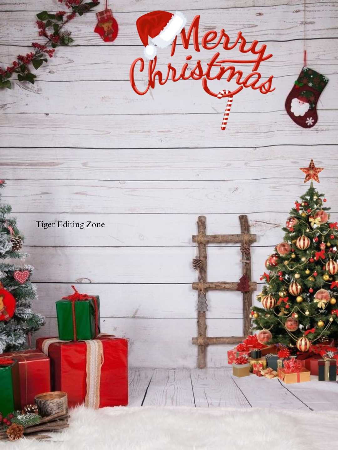 HD Background for Christmas Editing