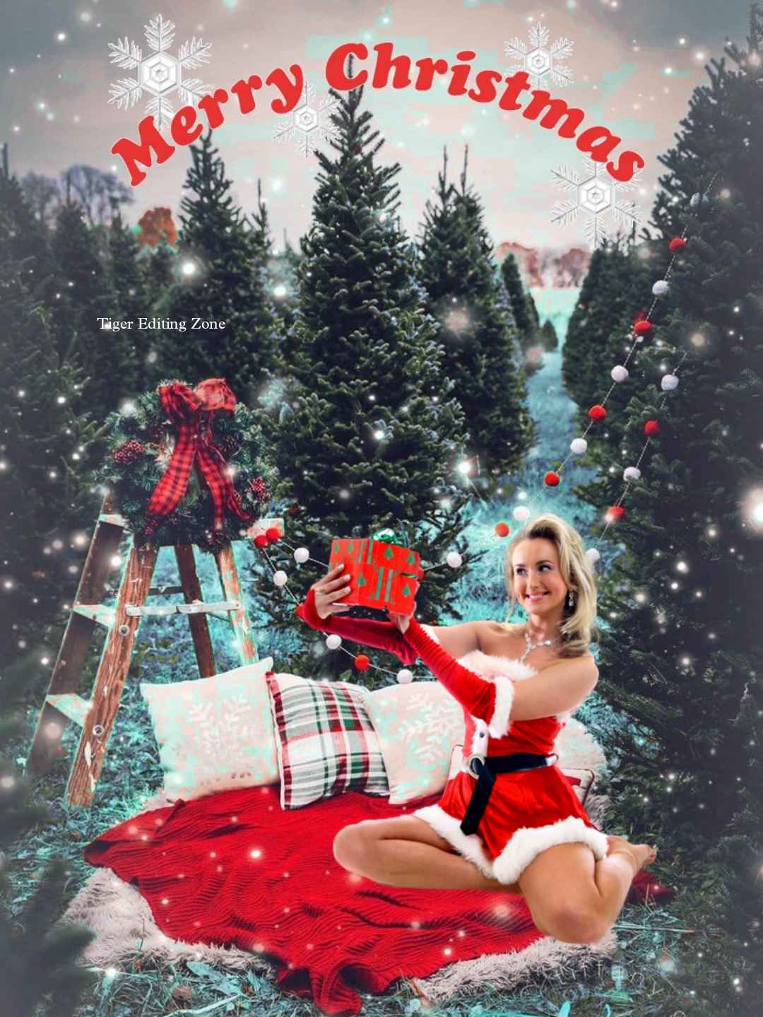 Merry Christmas Girl HD Editing Background