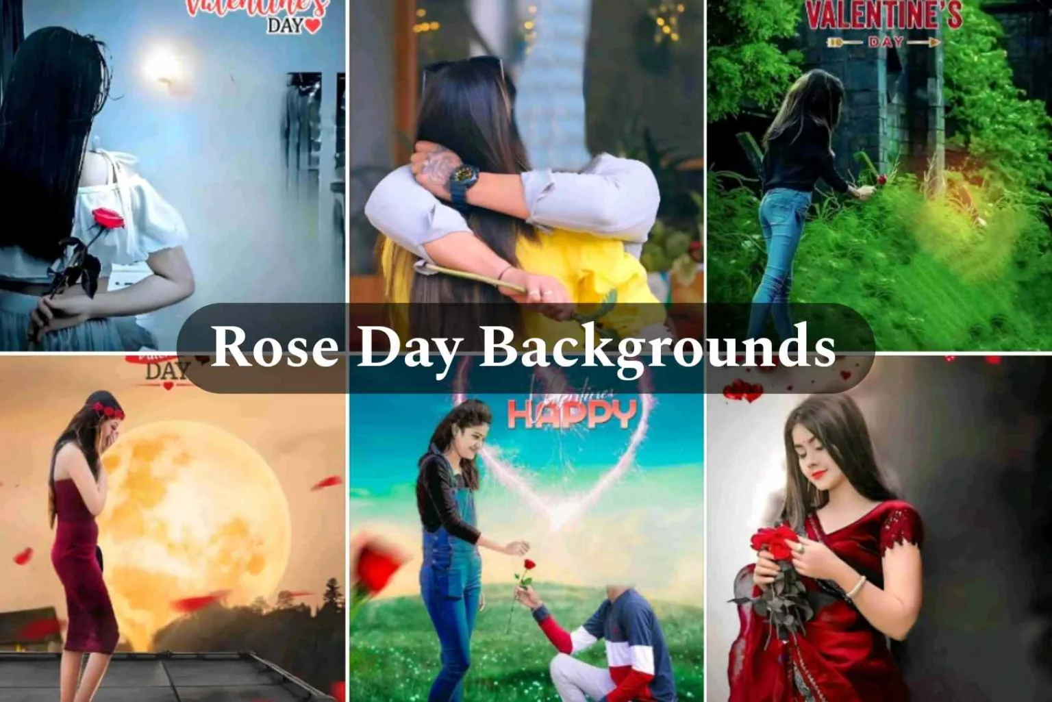 Rose Day Photo Editing Background 2024 Full HD