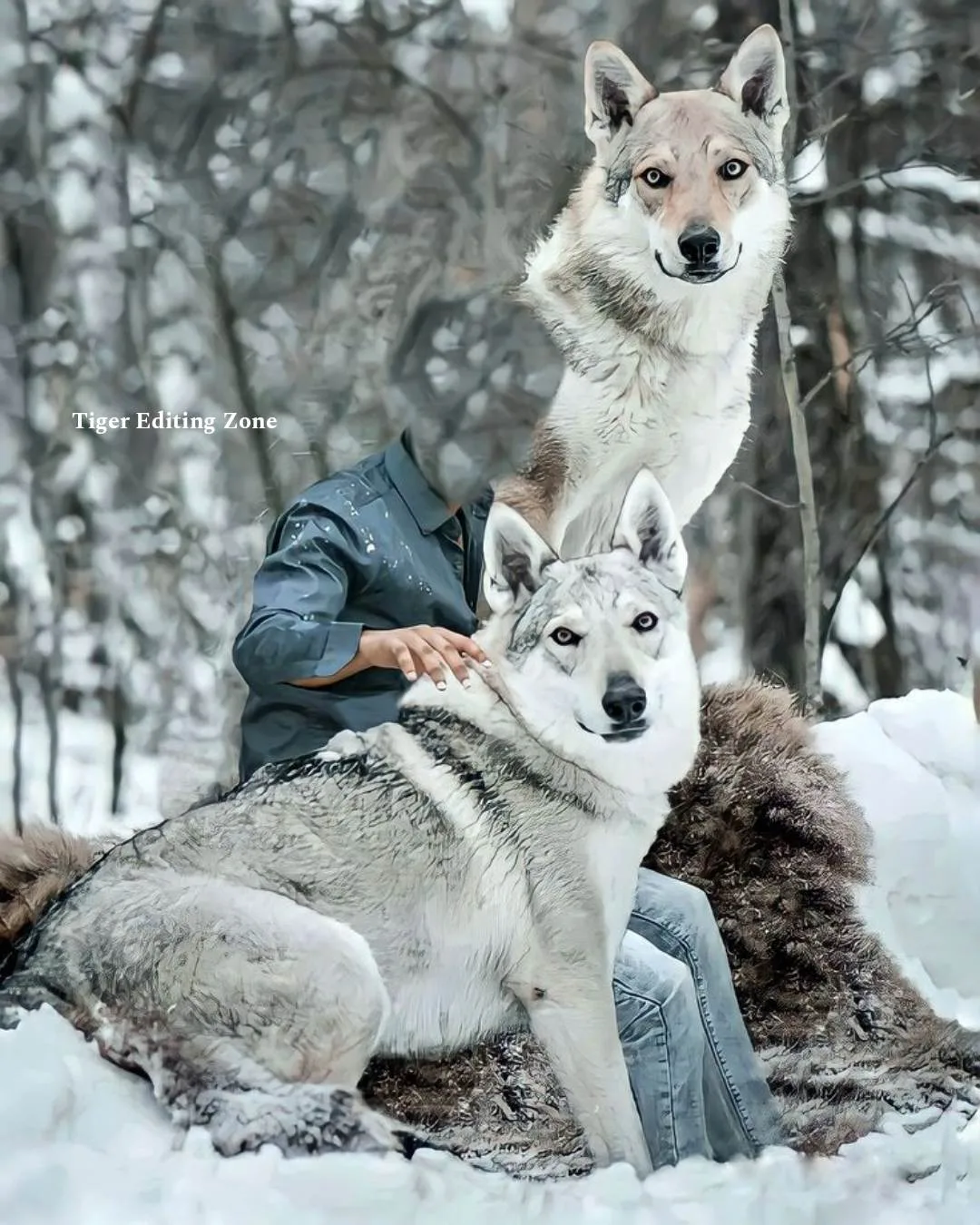 Wolf cb photo editing background hd